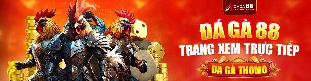 Đá gà trực tuyến kịch tính tại Falconbet